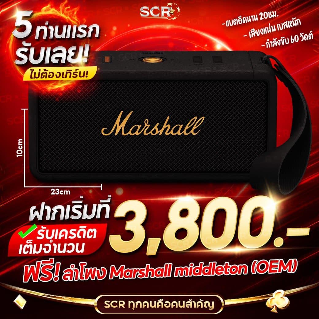 ระบบโบนัสฟรีสปิน